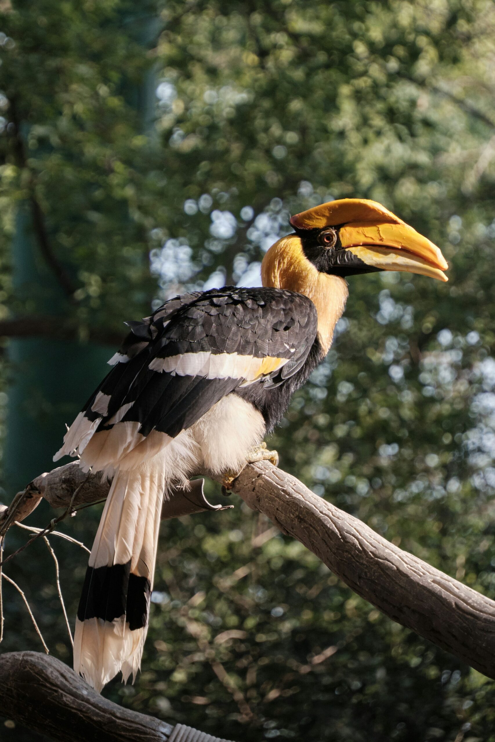 li yan bo9d5htj5xw unsplash