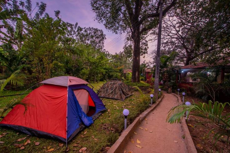 🌴🦜 jungle resort dandeli your ultimate nature….jpeg